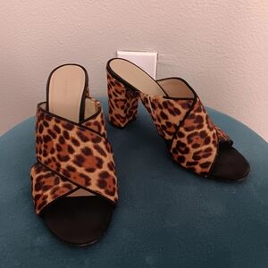 Cheetah Printed Mules